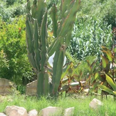 El Minero Bed & Breakfast