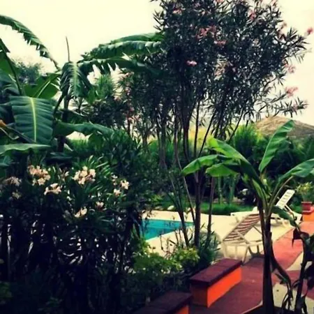 Bed and breakfast El Minero 3*